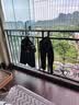 保罗岚芝保安服夏装短袖工作服套装执勤511作训服全套小区门卫制服可定制 实拍图