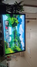 优派23.8英寸 原生120Hz超频144Hz IPS 400nit高亮 硬件低蓝光 1级能效 电脑办公电竞显示器VA24G25 实拍图
