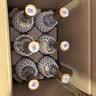 汾酒 黄盖玻汾 清香型白酒 53度 475ml*6瓶 整箱装 【预售专享】 实拍图