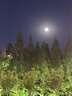 康佳（KONKA）空气循环扇家用风扇台式电风扇轻音节能涡轮对流换气扇摇头电扇交流定频小风扇空调伴侣KF-XH2012S 实拍图