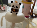 葆氏儿童牛奶杯学饮杯直饮喝水杯宝宝吸管杯PPSU材质带刻度330ML-熊猫 实拍图