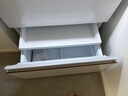东芝（TOSHIBA）大白梨600L法式多门冰箱638双系统制冰嵌入超大容量家用变频【年度机皇】GR-RF638WI-PM1换新补贴 实拍图