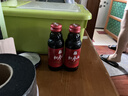 正官庄 人参红参元高丽参浓缩口服液红参100ml原装进口 富含皂苷营养品 实拍图
