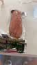 龙大肉食老式火腿400g 青岛老火腿 大块肉腱子肉火腿 火腿肠开袋即食熟食 实拍图