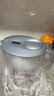 碧然德（BRITA）家用净水壶 滤水壶滤芯 MAXTRA Pro WLE 去水垢专家版PRO 1枚装 实拍图