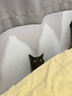欢宠网猫玩具猫咪逗猫棒猫薄荷球不倒翁自嗨神器自己玩解闷猫猫小猫幼猫 实拍图