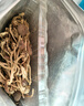 十月稻田 茶树菇 200g 未开伞 高蛋白 汤鲜肉滑 菌菇干货 炒菜煲汤火锅 实拍图