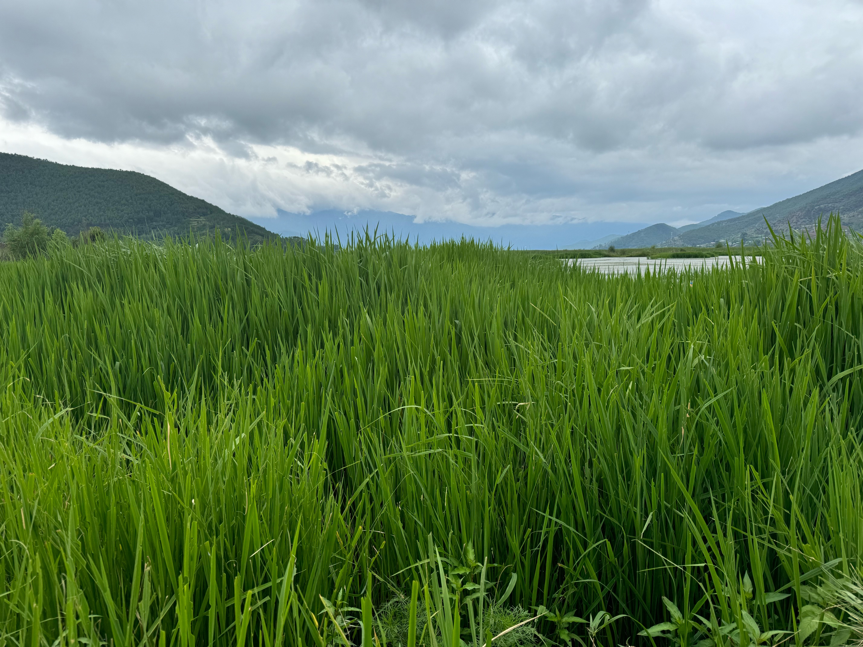 彩致（CAIZHI）茶盘托盘客厅双层沥水茶具茶几长方形茶具茶杯水果盘大号CZ6835 实拍图