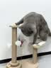 HELLOJOY猫抓板猫爬架一体耐磨不掉屑剑麻抓柱耐抓逗猫棒猫咪玩具自嗨解闷 实拍图
