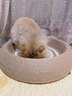 蒯蒯猫抓板猫窝猫抓板窝四季通用剑麻夏季猫窝不掉屑猫抓盆大号耐磨窝 52CM圆形全剑麻猫抓板【深睡款】 晒单实拍图