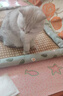 licheers猫狗窝凉席小型犬宠物猫咪睡垫夏季床垫泰迪中大型犬狗垫子 XL号 实拍图