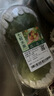 白不老豆角300g 实拍图