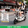驰小虎电动自行车 吉祥虎新国标电动车电动自行车48V12Ah铅酸电池长续航电瓶车成人代步车电车白色 实拍图