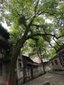 探险者（TAN XIAN ZHE）户外露营休闲加厚加宽帆布吊床 室内弯木防侧翻 红色双人月牙吊床 实拍图