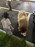 麦富迪狗粮 超肉粒冻干狗粮 成幼犬中大型犬专用 15kg/30斤【宠物金选】 实拍图