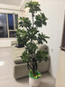 帕沙曼抱抱熊布艺沙发全可拆洗雪尼尔小户型云朵复古奶油风客厅 2657ZF 2.7米 多人位【全拆洗设计】 旗舰版 30%选择-[雪尼尔]紫罗兰+硅胶棉+海绵 实拍图