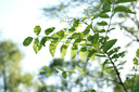 松下S5M2（20-60mm F3.5-5.6）（Panasonic）S5二代 全画幅微单相机 约2420万有效像素 新相位混合对焦 实拍图