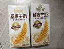 伊利谷粒多燕麦牛奶整箱 200ml*12盒 礼盒装 普通装混发 2月 实拍图