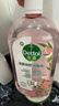 滴露（Dettol）香氛自然衣物消毒液48H留香洗衣除臭儿童可用消毒水杀菌除螨1L*2 实拍图