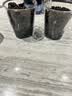 IAM City Farmer向日葵儿童种植盆栽种子学生植物观察窗科学手工实验diy植物10033 实拍图