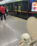 JOT TMM遛娃神器婴儿推车可坐轻便可折叠双向可坐高景观0-3岁带遮阳棚 2026新升级【坐垫+遮阳棚】 实拍图
