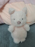 Jellycat小猪可爱公仔动物毛绒玩偶小玩偶娃娃送礼儿童节生日礼物 粉红色 Little 实拍图