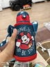 迪士尼（Disney）保温杯儿童节礼物水杯水壶学生316L不锈钢吸管直饮杯套礼盒650ml 实拍图