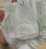 babycare金山茶花婴儿纸尿裤mini装NB34片(<5kg)新生儿尿不湿【新老混发】 实拍图