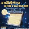 博朗尔摆摊照明灯夜市地摊灯充电灯泡户外露营灯长续航led探照应急灯 实拍图