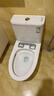 九牧（JOMOO）11173-2-1/41KD-3大力神普通马桶家用虹吸抗菌节水坐便器400坑距 实拍图