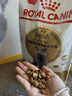 皇家猫粮 英短成猫粮 BS34 通用粮 12月以上 10KG 实拍图