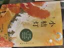 冰心三部曲全套共3册正版图书 繁星春水+寄小读者+小桔灯儿童文学三部曲全集原著正版散文诗歌集三四五六年级小学生课外必读课外阅读书籍 暑假课外阅读书自传儿童文学获奖经典作品集  实拍图