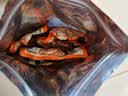 三只松鼠奥尔良小鸡腿12根袋装休闲零食鸡肉熟食肉脯约270g鸡翅根 实拍图