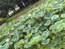 海澜之家HLA海澜之家牛仔裤男亦心即为凉感五袋印花裤子男春 实拍图