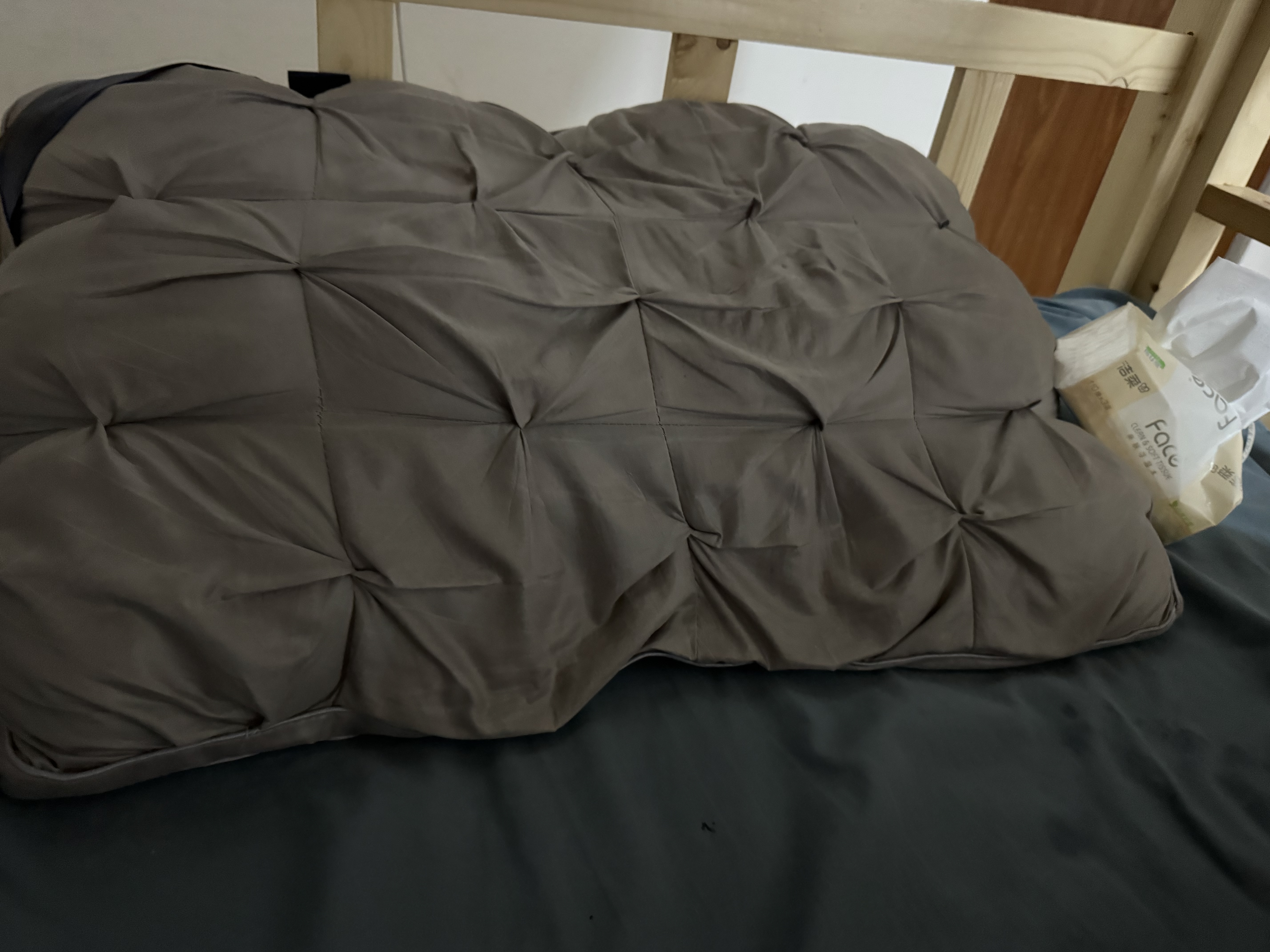飒望德国枕头成人一对护颈椎助睡眠深度睡觉男士专用五星级酒店枕芯 绅士灰【中枕48*74cm】高20-22cm A类 一对 希尔顿同款羽丝绒枕 颈椎病专用枕头 实拍图