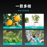 张小泉修枝剪刀果树剪花枝剪修枝剪园林园艺剪刀树枝剪人气省力剪ZH-308 实拍图