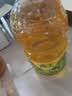 西王 食用油 玉米胚芽油 5L 非转基因物理压榨（新老包装交替发货） 实拍图