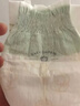 babycare金山茶花婴儿纸尿裤mini装NB34片(<5kg)新生儿尿不湿【新老混发】 实拍图