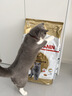 皇家猫粮 英短成猫粮 BS34 通用粮 12月以上 10KG 实拍图