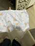 北极绒4条装儿童内裤女童发育期纯棉女孩学生10A抑菌平角短裤宝宝中大童 实拍图