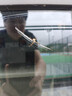 保赐利内饰泡沫清洗剂 汽车皮革座椅车内饰车辆多功能去污清洁剂500ML 实拍图