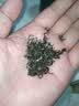 一杯香茶叶绿茶碧螺春10g2026新茶明前罐装自己喝散装试饮装试喝装 实拍图