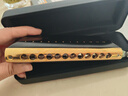 东方鼎（EAST TOP）半音阶口琴12孔48音黑色款 梦想者2.0 专业演奏初学练习通用款 实拍图