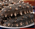 辽参大连冷冻海参礼盒2斤 8-12只 非即食 正宗辽参  固形物≥85% 实拍图