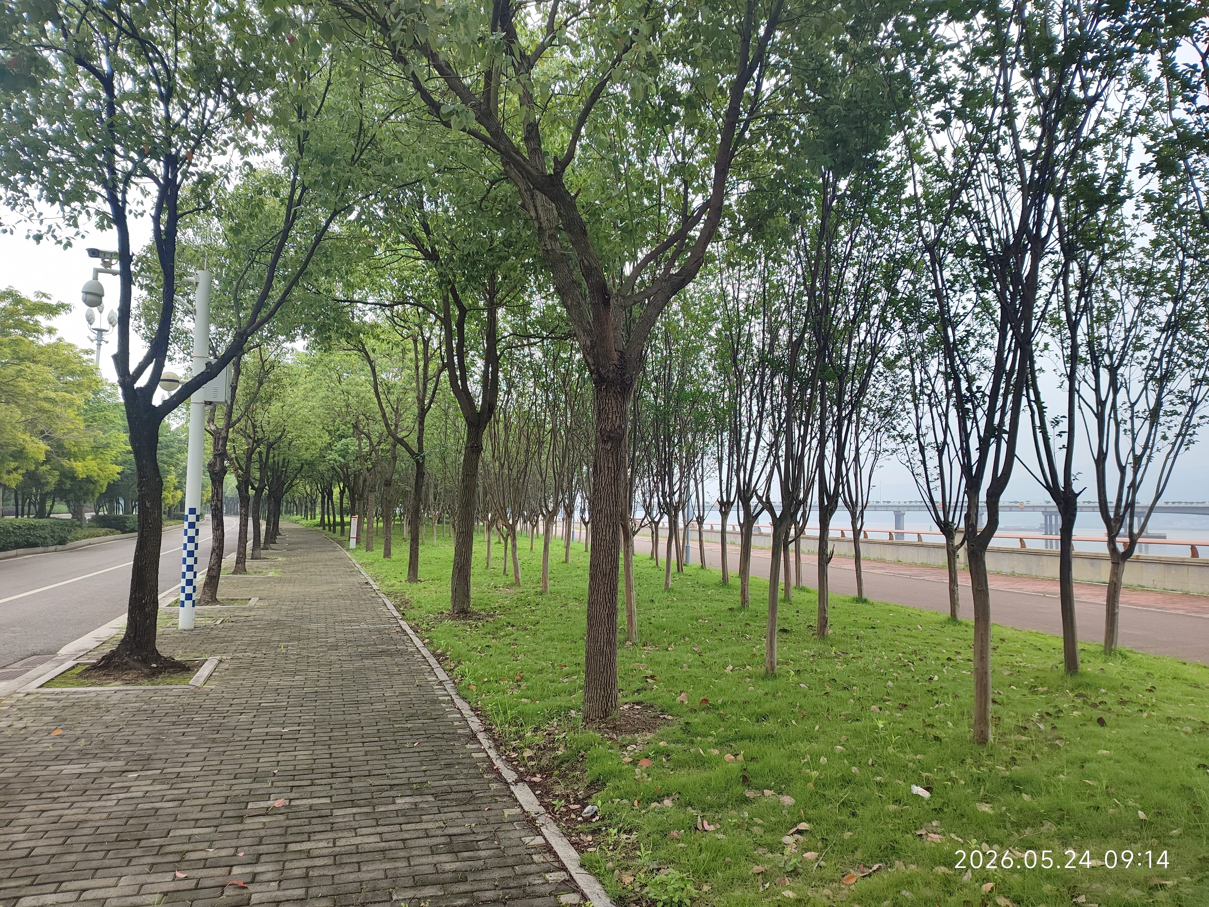 owhon助行器助步器老人手推车助行车折叠轻便可推可坐康复辅助四轮车 碳纤维豪华款【超轻材质+高度可调+仅5.3KG】 实拍图