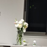 墨斗鱼冰川透明玻璃花瓶简约轻奢桌面摆件鲜花插花生日礼物 实拍图