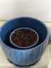 九千谷 花盆陶瓷蓝色星空阳台桌面摆件植物花卉透气带托盘3件套9232 实拍图