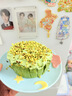 展艺开心果碎100g 坚果碎蛋糕饮品酸奶碗冰淇淋冰粉装饰烘焙原料 实拍图