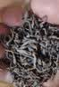 周聘号普洱熟茶散茶500g2020醇香熟茶云南勐海春茶发酵 实拍图