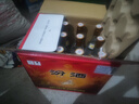 汾酒黄盖玻汾 清香型高度白酒 53度 475mL*12瓶 整箱装 端午节囤货 实拍图